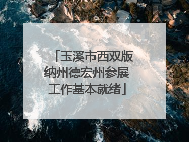 玉溪市西双版纳州德宏州参展工作基本就绪