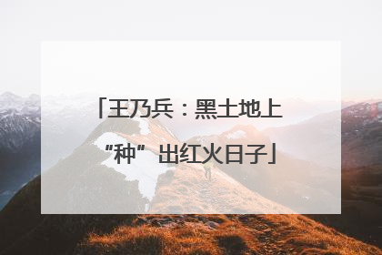王乃兵：黑土地上“种”出红火日子