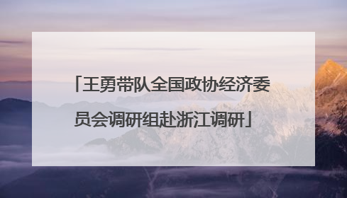 王勇带队全国政协经济委员会调研组赴浙江调研