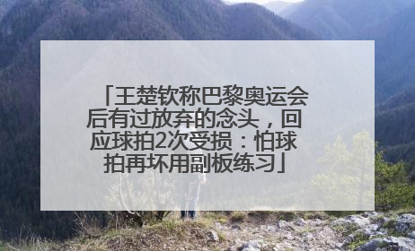 王楚钦称巴黎奥运会后有过放弃的念头，回应球拍2次受损：怕球拍再坏用副板练习