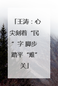 王涛：心尖刻着“民”字 脚步踏平“难”关