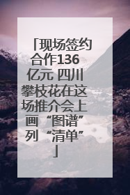 现场签约合作136亿元 四川攀枝花在这场推介会上画“图谱”列“清单”