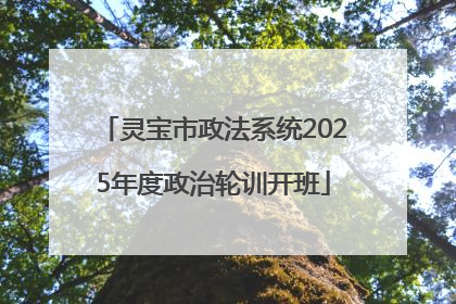 灵宝市政法系统2025年度政治轮训开班