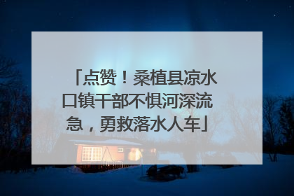 点赞！桑植县凉水口镇干部不惧河深流急，勇救落水人车