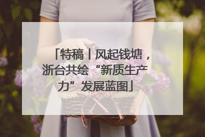 特稿丨风起钱塘，浙台共绘“新质生产力”发展蓝图