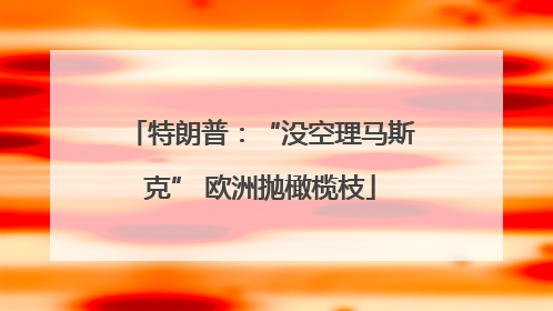 特朗普：“没空理马斯克” 欧洲抛橄榄枝