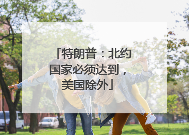 特朗普：北约国家必须达到，美国除外