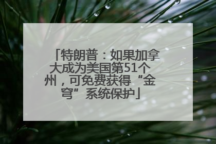特朗普：如果加拿大成为美国第51个州，可免费获得“金穹”系统保护