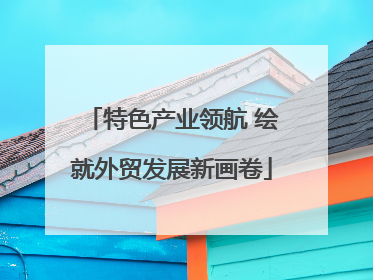 特色产业领航 绘就外贸发展新画卷