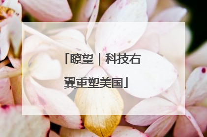 瞭望｜科技右翼重塑美国