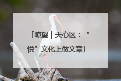 瞭望｜天心区：“悦”文化上做文章
