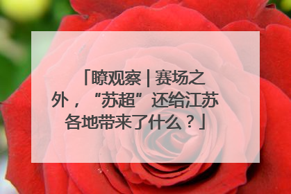 瞭观察 | 赛场之外，“苏超”还给江苏各地带来了什么？