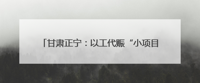 甘肃正宁：以工代赈“小项目”书写乡村振兴“大文章”
