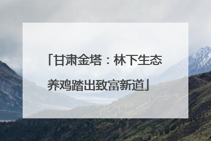 甘肃金塔：林下生态养鸡踏出致富新道
