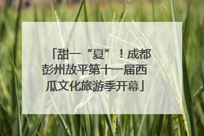 甜一“夏”！成都彭州敖平第十一届西瓜文化旅游季开幕