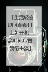 生活轻喜剧《蒸蒸日上》开机 高叶韩东君领衔主演