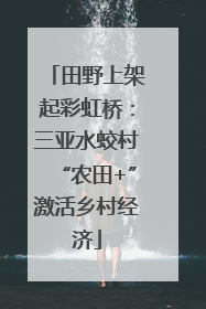 田野上架起彩虹桥：三亚水蛟村“农田+”激活乡村经济