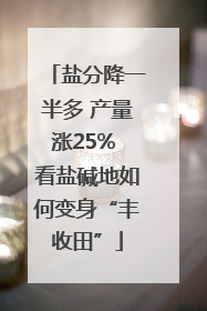 盐分降一半多 产量涨25% 看盐碱地如何变身“丰收田”