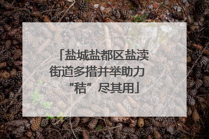 盐城盐都区盐渎街道多措并举助力“秸”尽其用