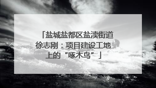 盐城盐都区盐渎街道徐志刚：项目建设工地上的“啄木鸟”