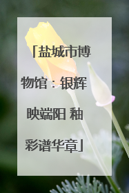 盐城市博物馆：银辉映端阳 釉彩谱华章