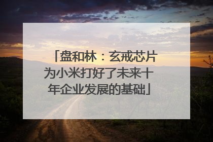 盘和林：玄戒芯片为小米打好了未来十年企业发展的基础