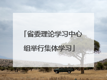 省委理论学习中心组举行集体学习