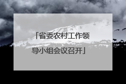 省委农村工作领导小组会议召开
