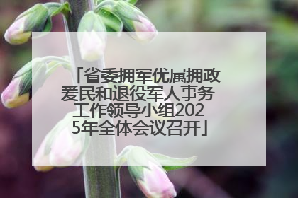 省委拥军优属拥政爱民和退役军人事务工作领导小组2025年全体会议召开