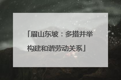 眉山东坡：多措并举构建和谐劳动关系