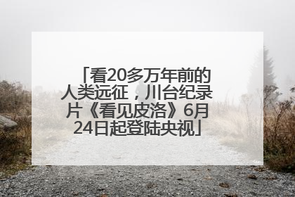 看20多万年前的人类远征，川台纪录片《看见皮洛》6月24日起登陆央视