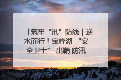 筑牢“汛”防线｜逆水而行！宝峰湖 “安全卫士” 出鞘 防汛应急再添硬核力量