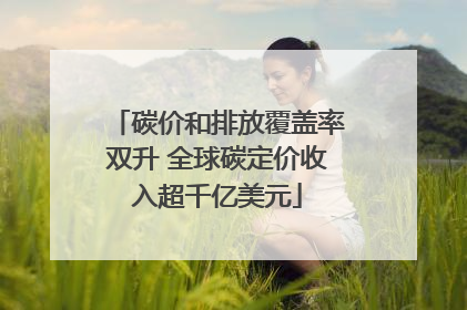 碳价和排放覆盖率双升 全球碳定价收入超千亿美元