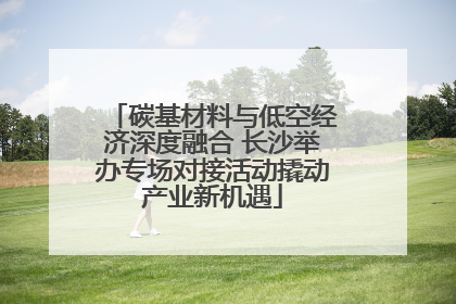 碳基材料与低空经济深度融合 长沙举办专场对接活动撬动产业新机遇