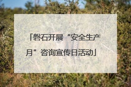 磐石开展“安全生产月”咨询宣传日活动