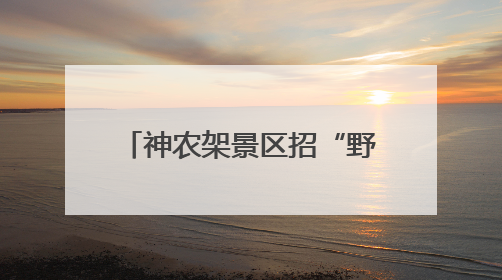 神农架景区招“野人”！日薪500元，已有近4000人报名，工作职责包括“接受游客投喂”