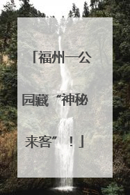 福州一公园藏“神秘来客”！