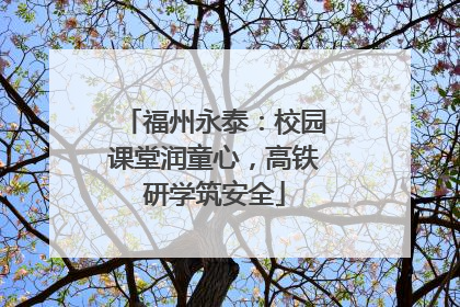 福州永泰：校园课堂润童心，高铁研学筑安全