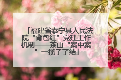 福建省泰宁县人民法院“背包红”党建工作机制——茶山“案中案”一揽子了结