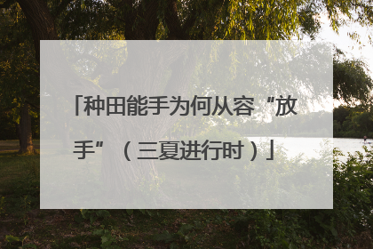 种田能手为何从容“放手”（三夏进行时）