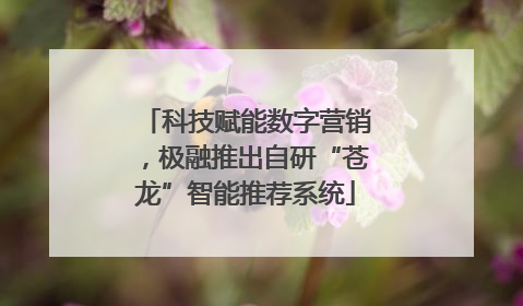 科技赋能数字营销，极融推出自研“苍龙”智能推荐系统