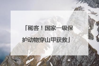 稀客！国家一级保护动物穿山甲获救