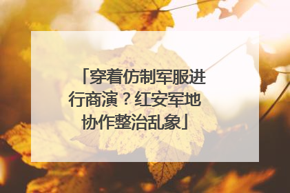 穿着仿制军服进行商演？红安军地协作整治乱象