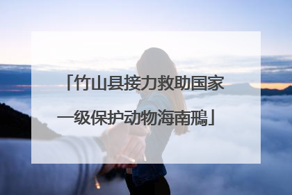 竹山县接力救助国家一级保护动物海南鳽