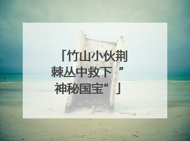 竹山小伙荆棘丛中救下“神秘国宝”