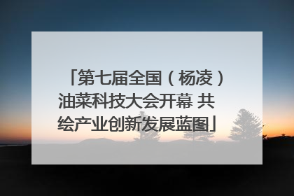第七届全国（杨凌）油菜科技大会开幕 共绘产业创新发展蓝图
