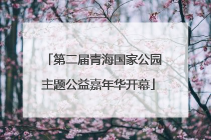 第二届青海国家公园主题公益嘉年华开幕