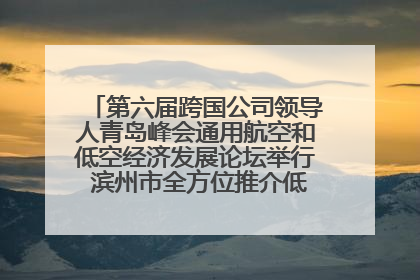 第六届跨国公司领导人青岛峰会通用航空和低空经济发展论坛举行 滨州市全方位推介低空经济发展优势
