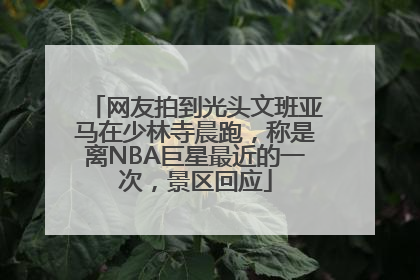网友拍到光头文班亚马在少林寺晨跑，称是离NBA巨星最近的一次，景区回应