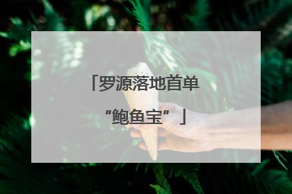 罗源落地首单“鲍鱼宝”